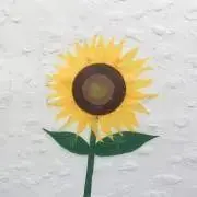 なまちゃの画像