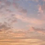 つきひかりの画像
