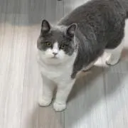 なつみの画像