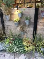 paloaltoの画像