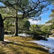 ひとみの画像