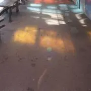 ぱないのの画像