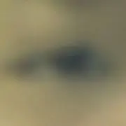 おまめの画像