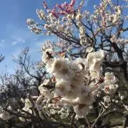 ちひろの画像