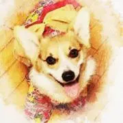 YUKI