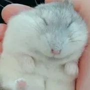 Mの画像