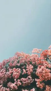 ゆっきっき