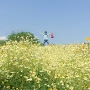 みーの画像
