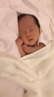 てぽ
