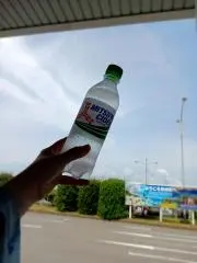 もにの画像