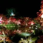 花梨