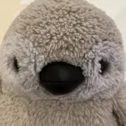 いちご✾購入前にプロフご一読ください◡̈の画像