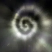 きのこの画像