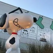 ばぁの画像