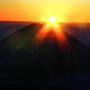 カーコの画像