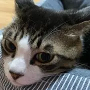 。。。