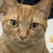 a ❤︎の画像