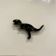 ろふすの画像