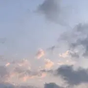あみの画像