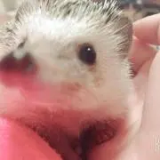 あぐちゃん✧