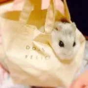 ゆみの画像