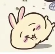 うさぎの画像