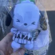 いわいーの画像