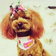 キンリサ