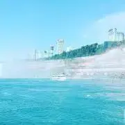 picoの画像