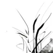 まりまりの画像