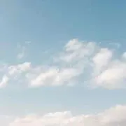 しゃもじの画像