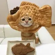 ぷの画像