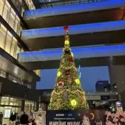 クラッシュの画像