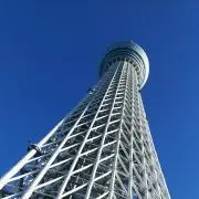 ポッキーの画像