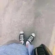 ふうちゃん断捨離中の画像