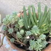 あおぞら