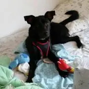 アクア☆