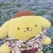 omochiの画像