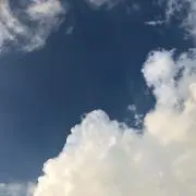 おれおくっきーの画像