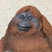 うた