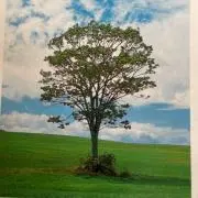 MTT  【プロフ必読】の画像