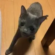 はるはる☆