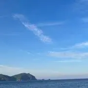 ウネリ