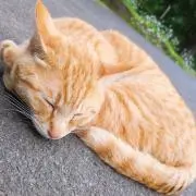 ゆぅゆぅ　★プロフ見ましたか？の画像