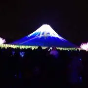 mtマム