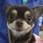 ☆の画像