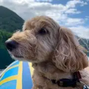neoの画像