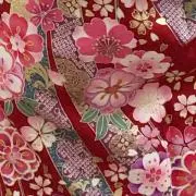 月桜の画像