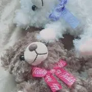 ricoの画像