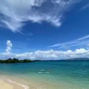 ゆうまるの画像